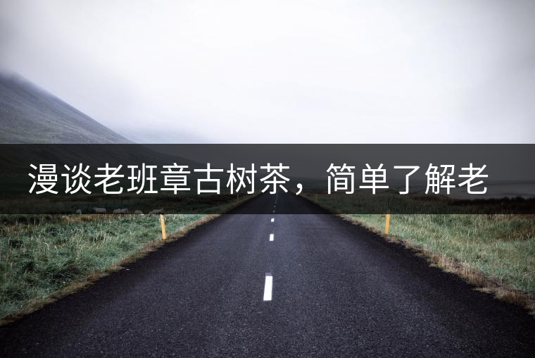 漫談老班章古樹(shù)茶，簡(jiǎn)單了解老班章普洱茶