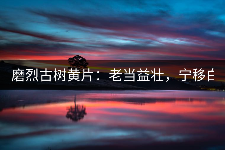 磨烈古樹黃片：老當(dāng)益壯，寧移白首之心！