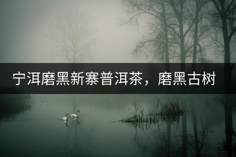 寧洱磨黑新寨普洱茶，磨黑古樹(shù)茶口感特點(diǎn)