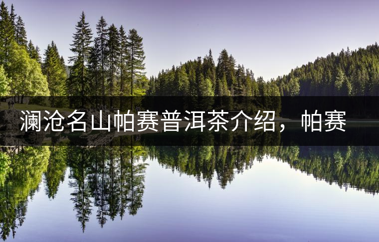 瀾滄名山帕賽普洱茶介紹，帕賽古樹茶口感特點