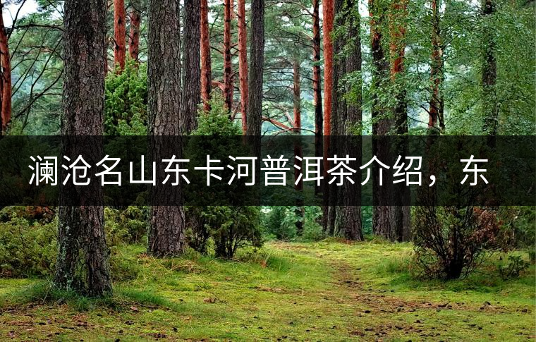 瀾滄名山東卡河普洱茶介紹，東卡河古樹茶口感特點(diǎn)