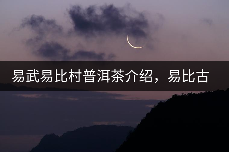 易武易比村普洱茶介紹，易比古樹茶口感特點(diǎn)