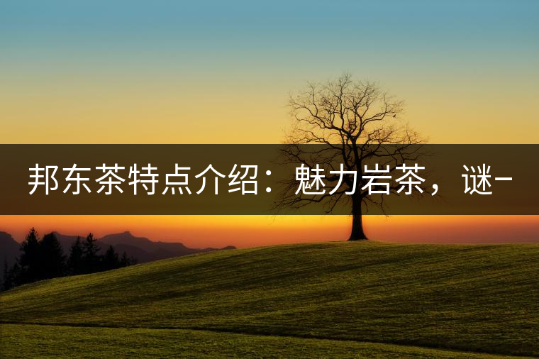 邦東茶特點(diǎn)介紹：魅力巖茶，謎一樣的邦東！