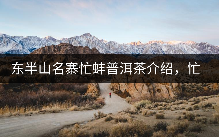 東半山名寨忙蚌普洱茶介紹，忙蚌古樹茶口感特點