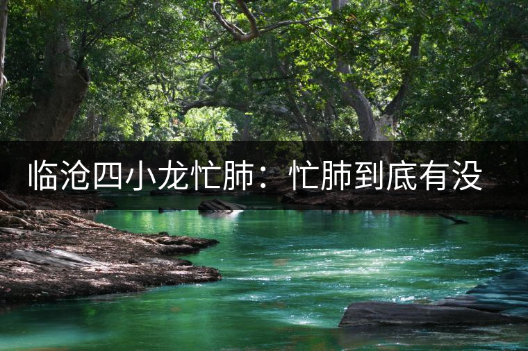 臨滄四小龍忙肺：忙肺到底有沒(méi)有古樹(shù)？