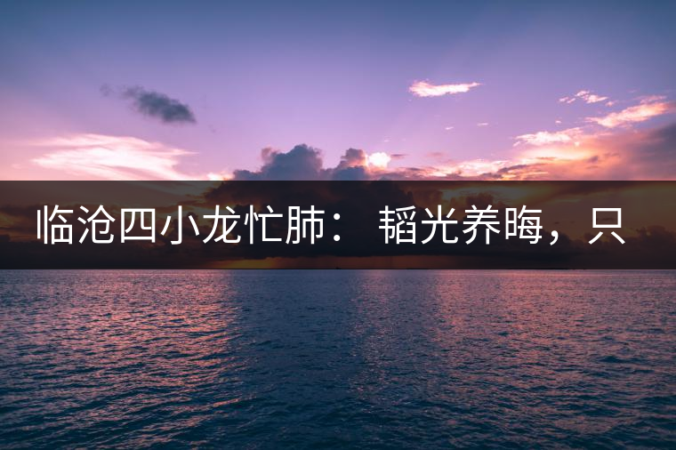 臨滄四小龍忙肺： 韜光養(yǎng)晦，只為綻放！