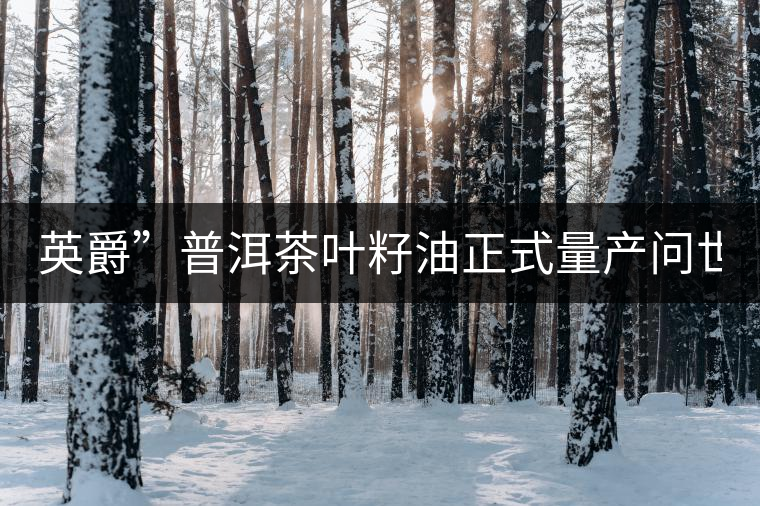英爵”普洱茶葉籽油正式量產(chǎn)問世。
