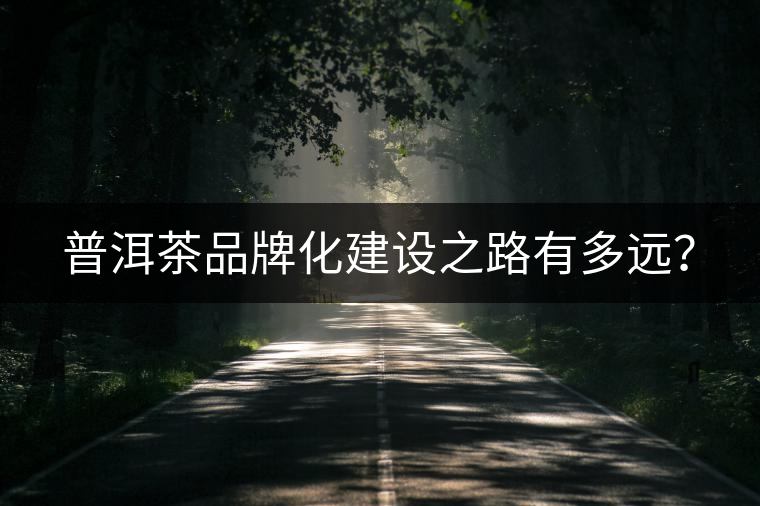 普洱茶品牌化建設(shè)之路有多遠(yuǎn)？