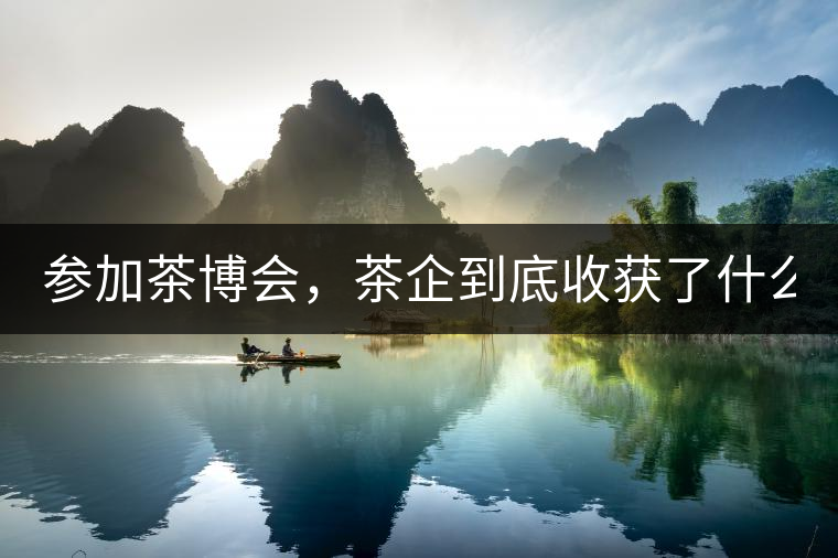 參加茶博會，茶企到底收獲了什么？