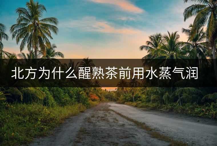 北方為什么醒熟茶前用水蒸氣潤一下？有何用處？