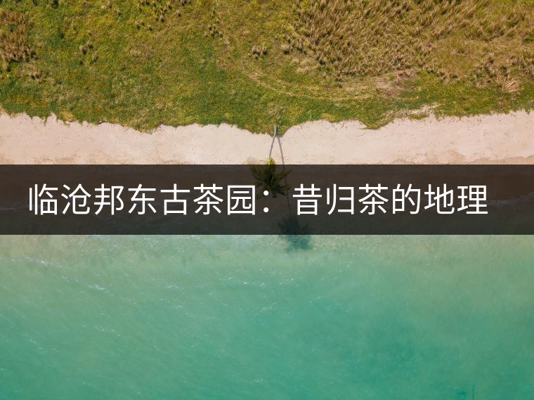 臨滄邦東古茶園：昔歸茶的地理位置及口感特點介紹