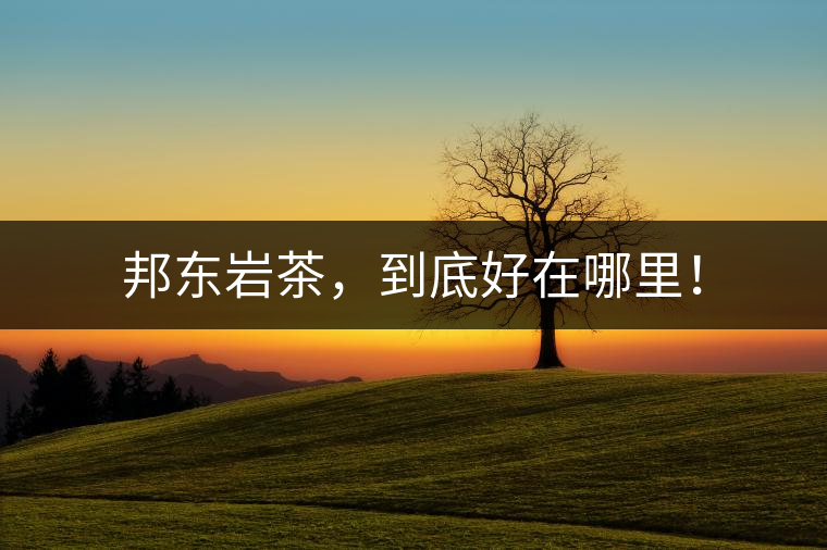 邦東巖茶，到底好在哪里！