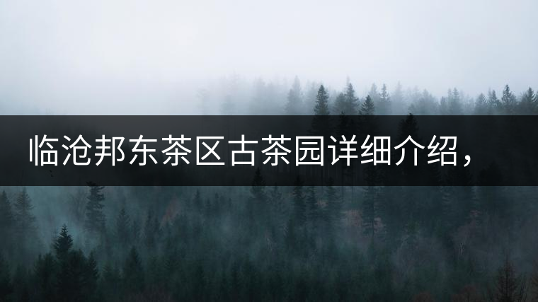 臨滄邦東茶區(qū)古茶園詳細介紹，邦東古樹茶特點