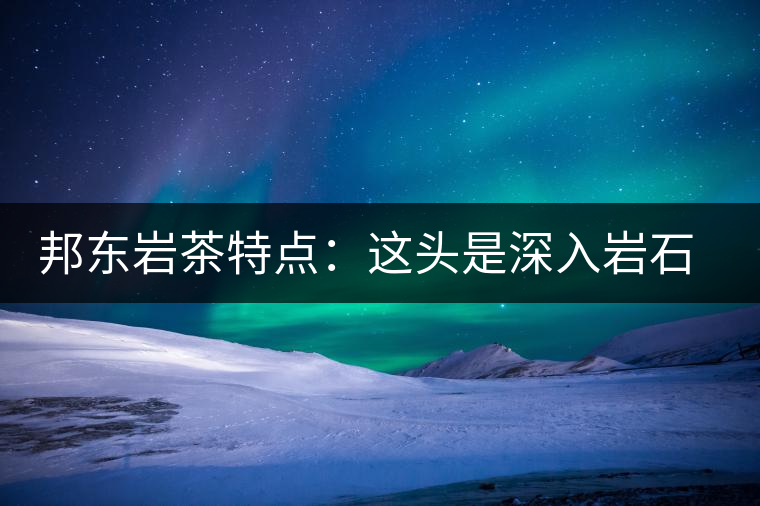 邦東巖茶特點：這頭是深入巖石的根，那頭是臨風(fēng)飄香的古韻