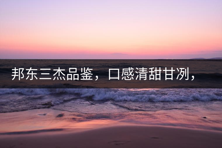 邦東三杰品鑒，口感清甜甘冽，香氣富于變化