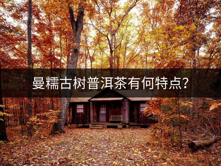 曼糯古樹(shù)普洱茶有何特點(diǎn)？