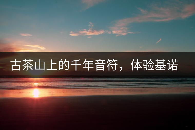 古茶山上的千年音符，體驗基諾山寨