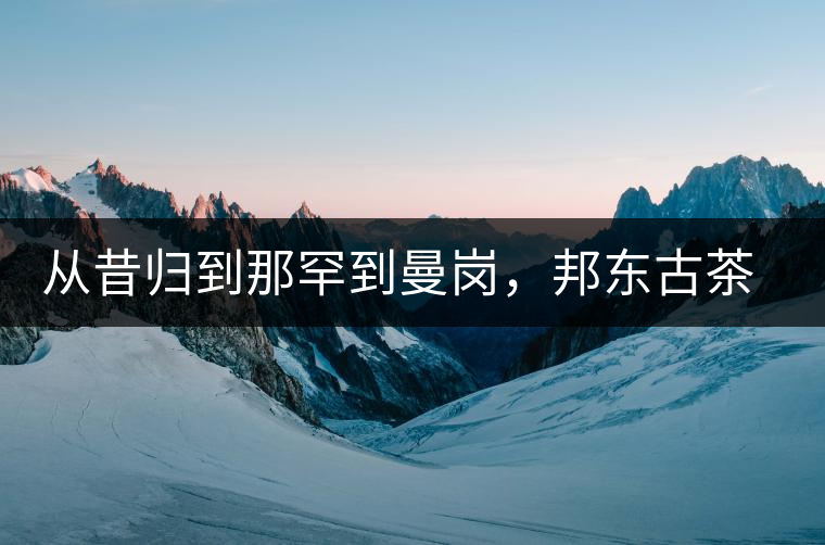 從昔歸到那罕到曼崗，邦東古茶藏著一條規(guī)律！