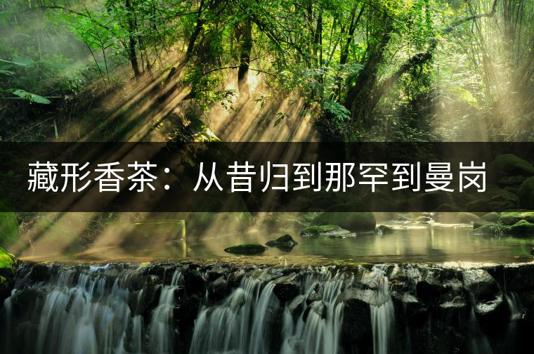 藏形香茶：從昔歸到那罕到曼崗，邦東古茶藏著一條規(guī)律！