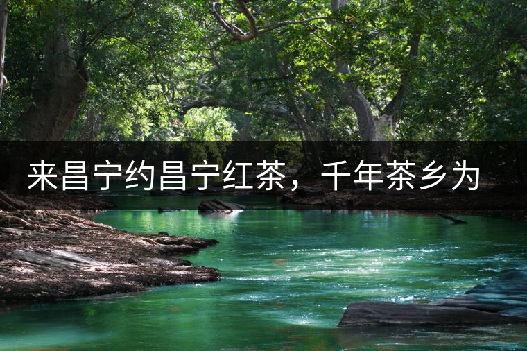 來(lái)昌寧約昌寧紅茶，千年茶鄉(xiāng)為您開啟生態(tài)之旅