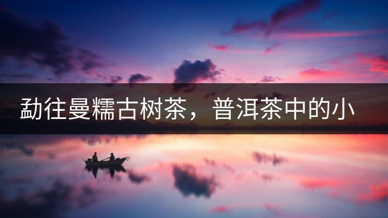 勐往曼糯古樹(shù)茶，普洱茶中的小班章