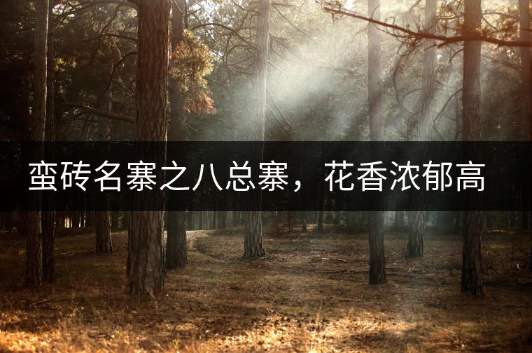 蠻磚名寨之八總寨，花香濃郁高揚(yáng)