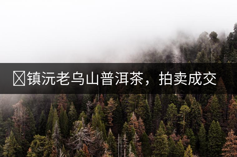 ?鎮(zhèn)沅老烏山普洱茶，拍賣成交價(jià)再創(chuàng)新高