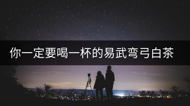 你一定要喝一杯的易武彎弓白茶園古樹茶