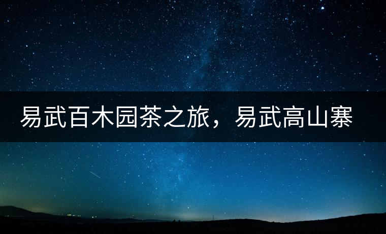 易武百木園茶之旅，易武高山寨古茶山