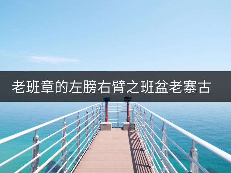 老班章的左膀右臂之班盆老寨古樹(shù)茶 老班章的左膀右臂之班盆老寨古樹(shù)茶