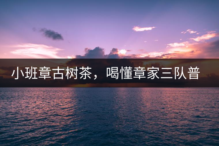 小班章古樹茶，喝懂章家三隊普洱茶