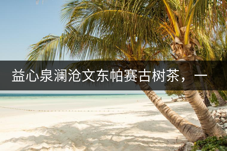 益心泉瀾滄文東帕賽古樹茶，一山茶兩岸香