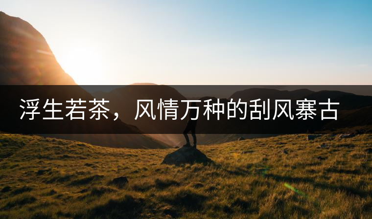 浮生若茶，風(fēng)情萬種的刮風(fēng)寨古樹茶