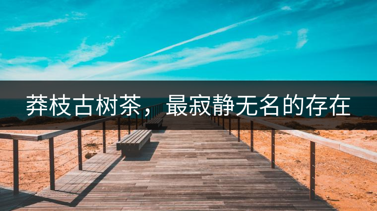 莽枝古樹茶，最寂靜無名的存在