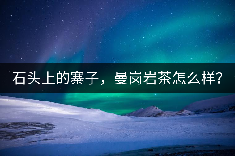 石頭上的寨子，曼崗巖茶怎么樣？