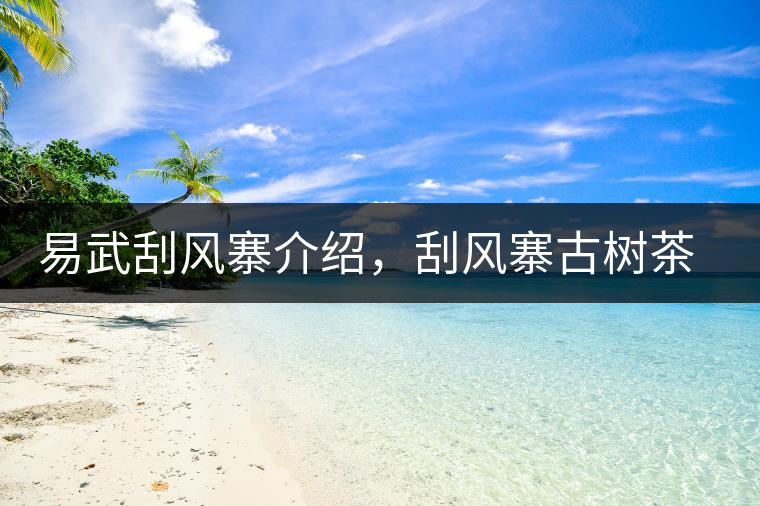 易武刮風(fēng)寨介紹，刮風(fēng)寨古樹茶口感特點