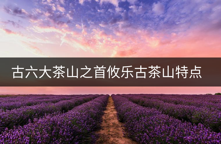 古六大茶山之首攸樂古茶山特點介紹 古六大茶山之首攸樂古茶山特點介紹