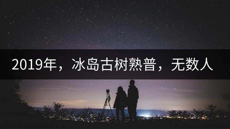 2019年，冰島古樹熟普，無數(shù)人在尋找