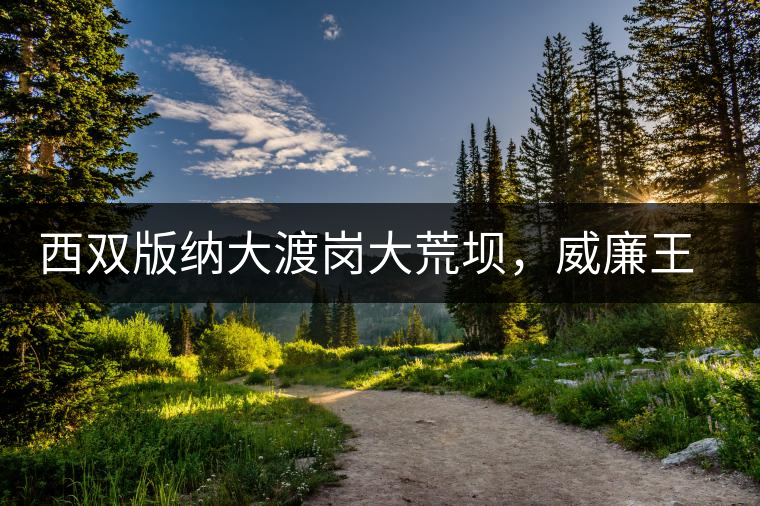 西雙版納大渡崗大荒壩，威廉王子曾經(jīng)到過的古樹茶山