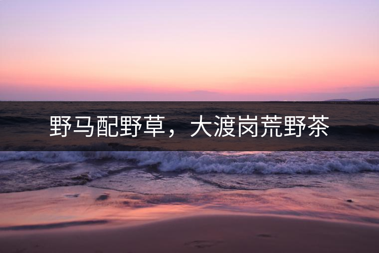 野馬配野草，大渡崗荒野茶