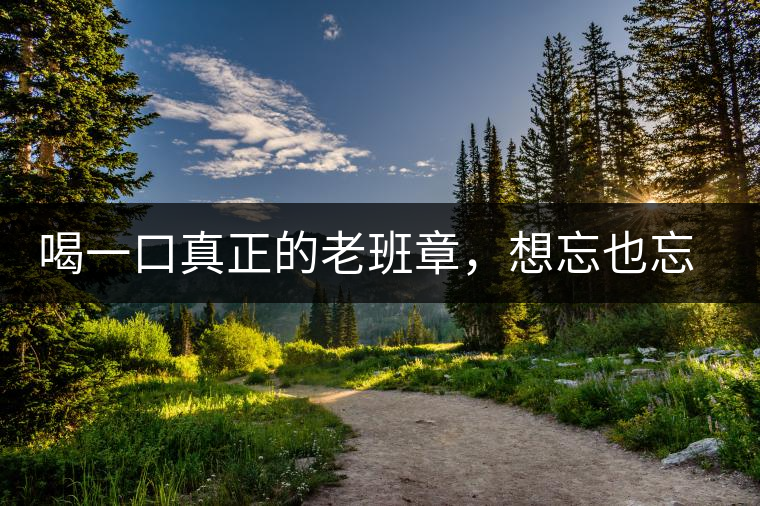 喝一口真正的老班章，想忘也忘不了的味道