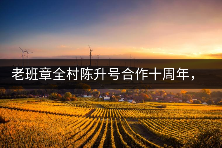 老班章全村陳升號(hào)合作十周年，贈(zèng)送千兩百家茶