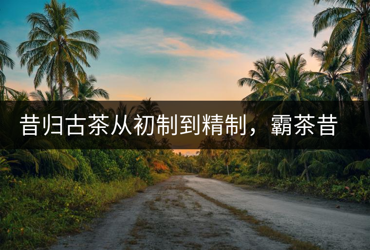 昔歸古茶從初制到精制，霸茶昔歸茶農(nóng)專(zhuān)業(yè)合作社成立
