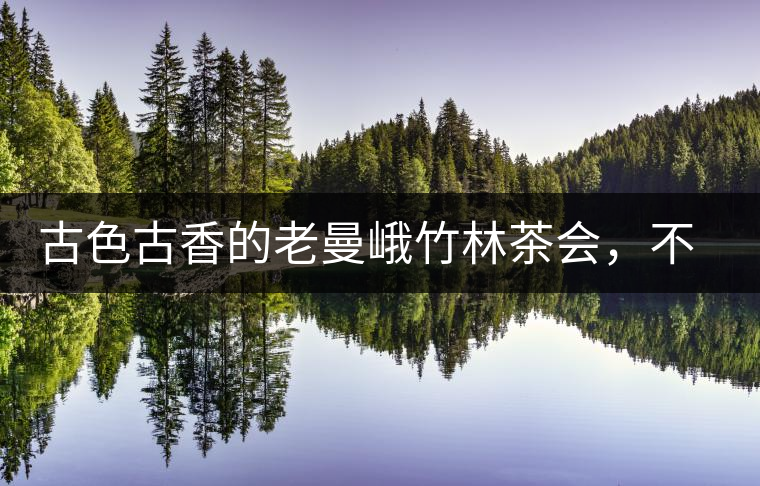 古色古香的老曼峨竹林茶會，不一樣的古樹茶