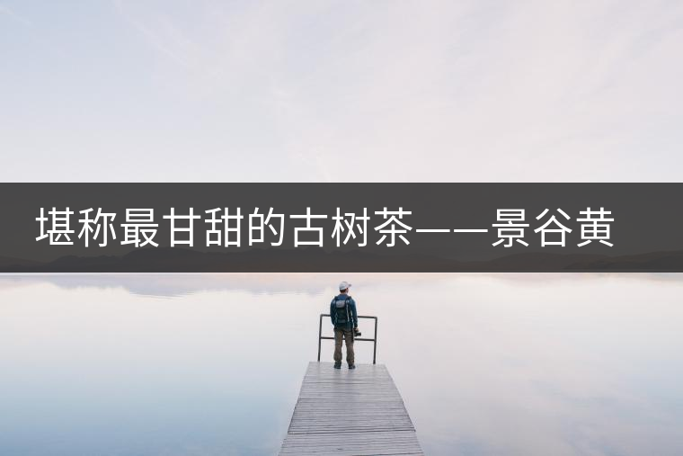 堪稱最甘甜的古樹(shù)茶——景谷黃草壩普洱茶