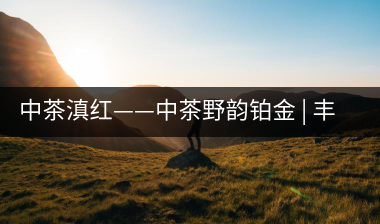 中茶滇紅——中茶野韻鉑金 | 豐苗挺秀，山野花香