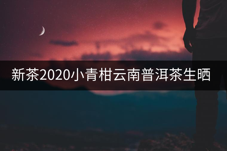 新茶2020小青柑云南普洱茶生曬鮮當季正宗新會糯米香散一罐裝250g 新茶2020小青柑云南普洱茶生曬鮮當季正宗新會糯米香散一罐裝250g
