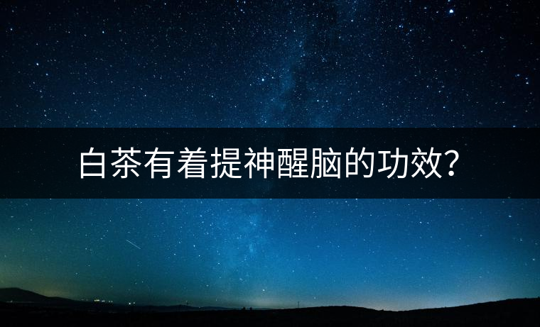白茶有著提神醒腦的功效？