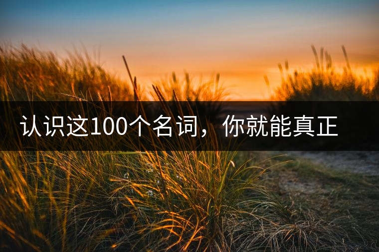 認(rèn)識這100個名詞，你就能真正了解普洱茶？
