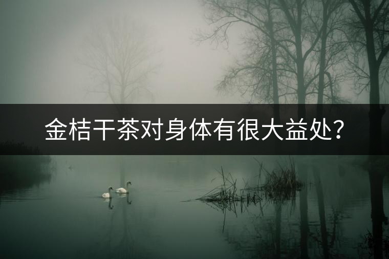 金桔干茶對身體有很大益處？